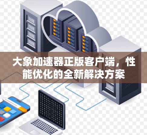 大象加速器正版客户端，性能优化的全新解决方案