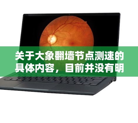 关于大象翻墙节点测速的具体内容，目前并没有明确的信息或技术标准来衡量这一概念。如果你指的是某种特定的技术或项目，请提供更多背景信息，以便更好地理解你的需求