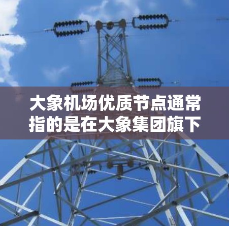 大象机场优质节点通常指的是在大象集团旗下的数据中心或网络服务中，性能、稳定性和安全性都非常突出的节点。这些节点通常用于提供高性能计算、存储和网络服务，支持企业级的业务需求