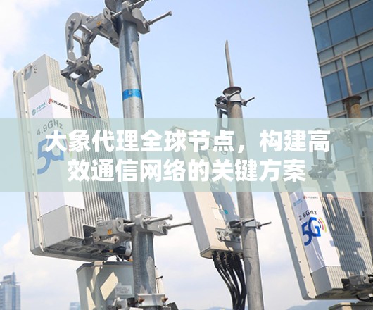 大象代理全球节点，构建高效通信网络的关键方案
