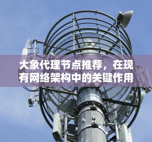 大象代理节点推荐，在现有网络架构中的关键作用
