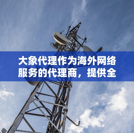 大象代理作为海外网络服务的代理商，提供全面的服务，覆盖技术、支持、成本等多个方面，帮助客户在国际市场中顺利运营。以下是对大象代理海外网络业务的详细分析