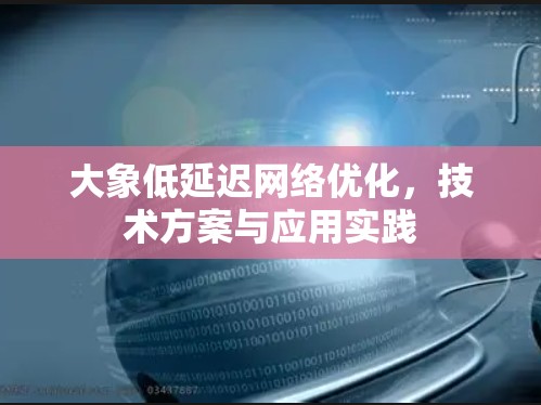 大象低延迟网络优化，技术方案与应用实践