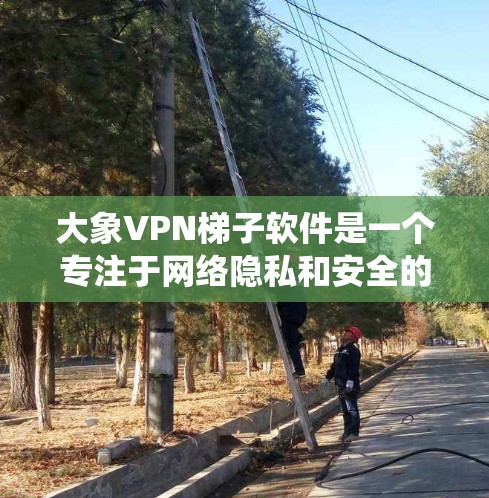 大象VPN梯子软件是一个专注于网络隐私和安全的解决方案，旨在帮助用户保护隐私、绕过网络限制并提高网络安全。以下是对该软件的详细分析