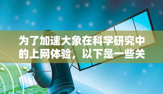 为了加速大象在科学研究中的上网体验，以下是一些关键步骤和建议