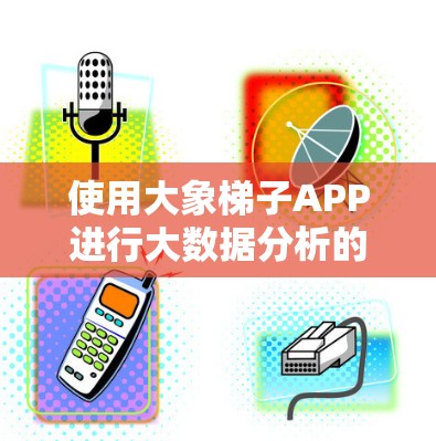 使用大象梯子APP进行大数据分析的步骤如下