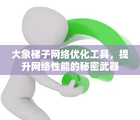 大象梯子网络优化工具，提升网络性能的秘密武器