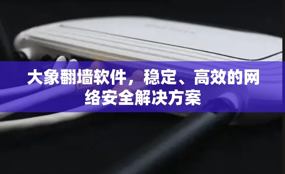 大象翻墙软件，稳定、高效的网络安全解决方案