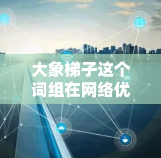 大象梯子这个词组在网络优化领域中并不是一个常见的术语，可能是一个网络上的梗、项目名称，或者是特定领域的隐喻。如果你有更具体的背景或问题，可以进一步说明，我可以为你提供更准确的解答和建议