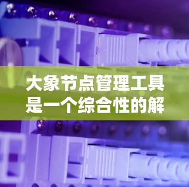 大象节点管理工具是一个综合性的解决方案，专为管理分布式系统中的节点设计。以下是对该工具的详细分析和总结