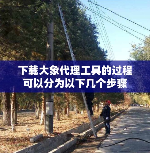 下载大象代理工具的过程可以分为以下几个步骤