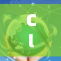 Clash for Android节点配置详解，提升网络效率与安全性