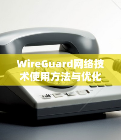 WireGuard网络技术使用方法与优化