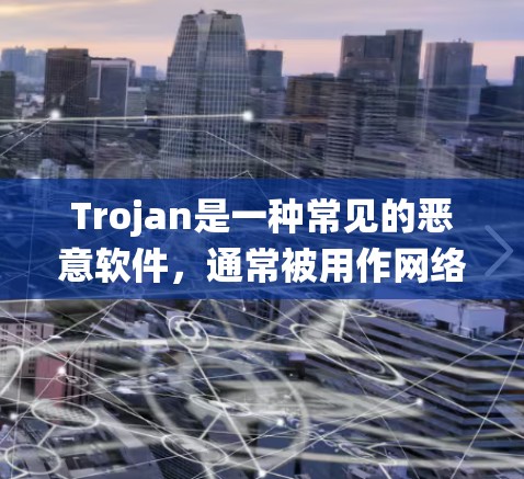 Trojan是一种常见的恶意软件，通常被用作网络攻击工具。它可以用于窃取数据、加密文件、破坏系统或获取未经授权的访问权限。以下是关于Trojan的详细解释和使用方法的分析