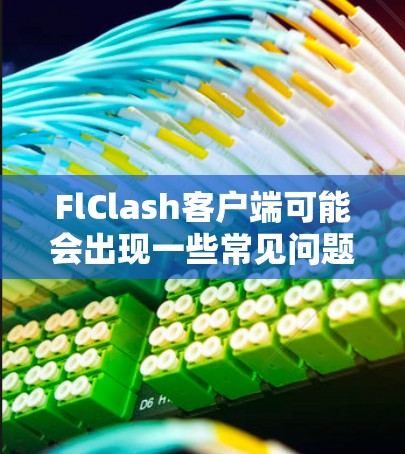 FlClash客户端可能会出现一些常见问题，以下是一些常见问题及解决方法
