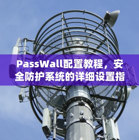 PassWall配置教程，安全防护系统的详细设置指南