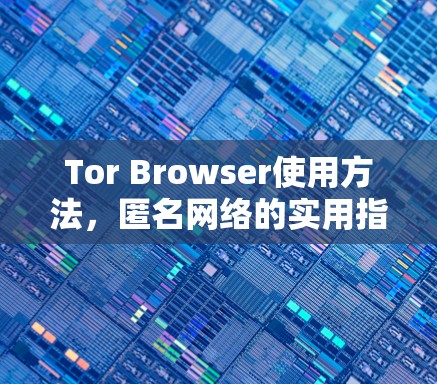 Tor Browser使用方法，匿名网络的实用指南