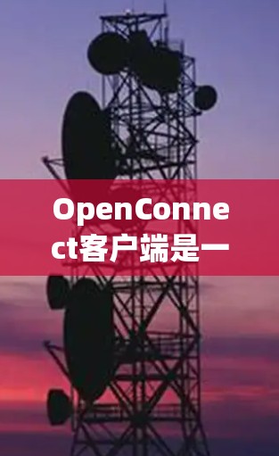 OpenConnect客户端是一个专为OpenConnect协议设计的VPN客户端，旨在为用户提供安全、稳定的网络连接。以下是对该客户端的详细分析和总结