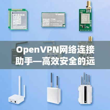OpenVPN网络连接助手—高效安全的远程访问解决方案